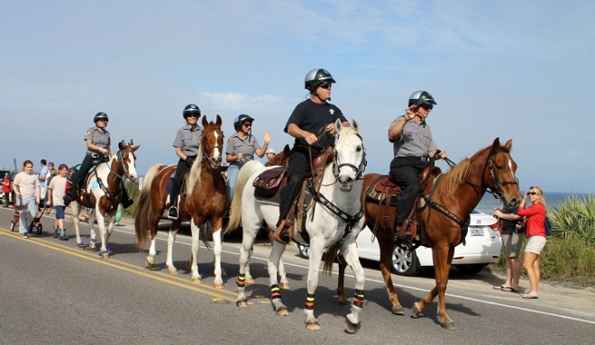 Had to get a photo of our mounted police force (which I had no idea we had)!